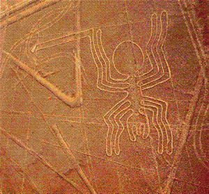 nazca-spider-nc-latinamericanstudies-350