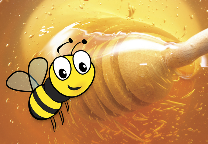 Honning – det flytende gullet
